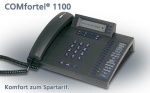 auerwald_comauerwald1100